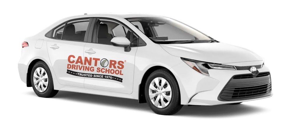 2. Cantor's Driving School - Serving All Of Las Vegas, Henderson, Boulder...